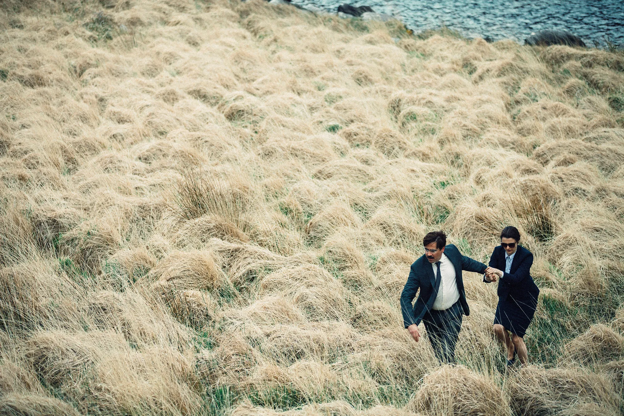 The Lobster: Una salvajada romántica
